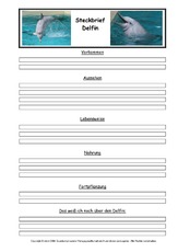 Delfin-Steckbriefvorlage.pdf